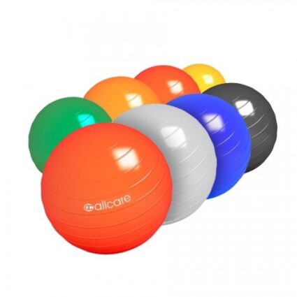 EXCERCISE & POSTURE BALL