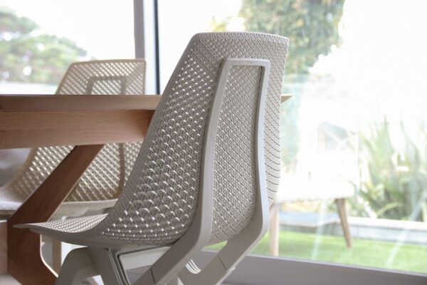 Copy of noho co 117648959 3066137503485153 3758187130944211554 n