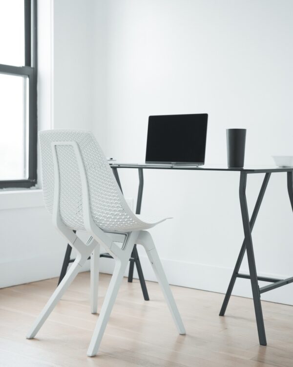 Copy of noho co 143233768 1064444207374805 8800910647570517658 n