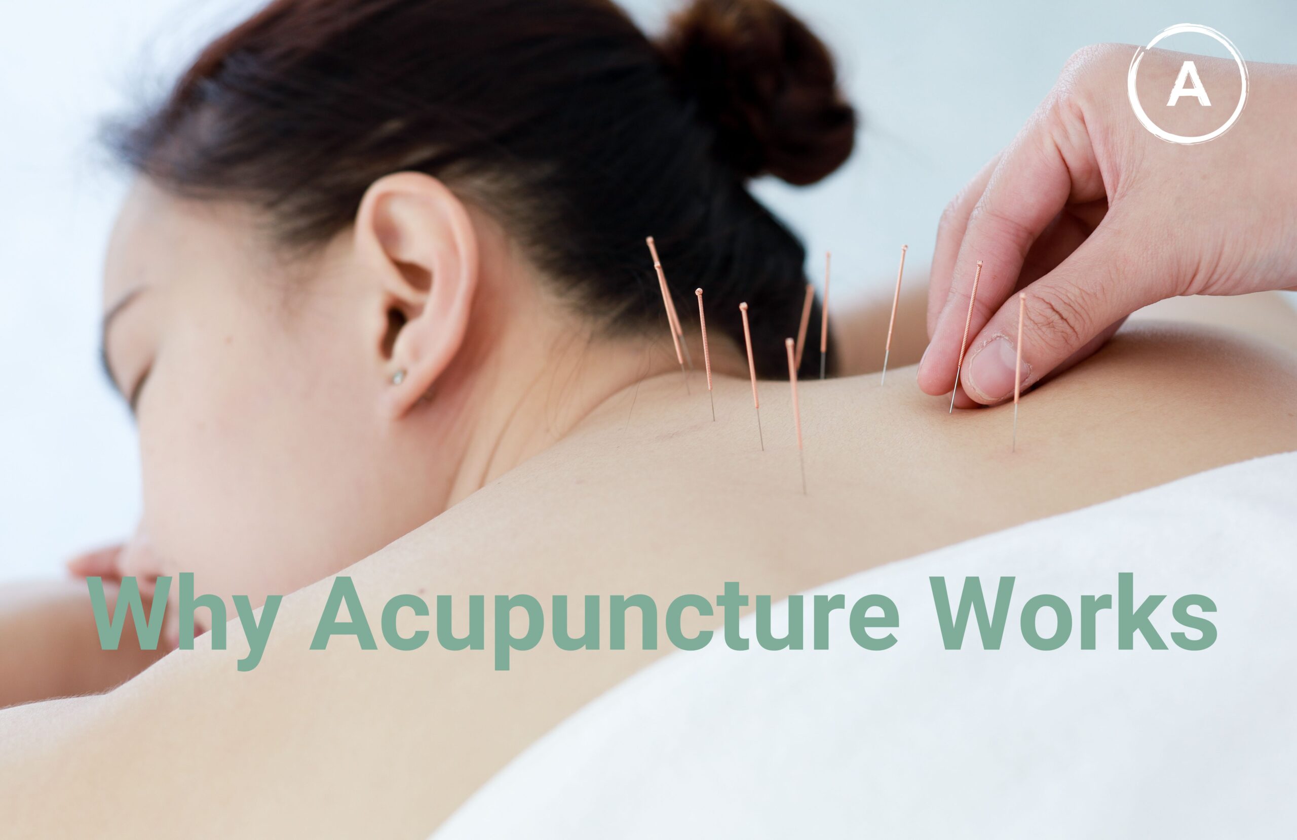 Copy Of Copy Of Copy Of Blog Pictures (35)